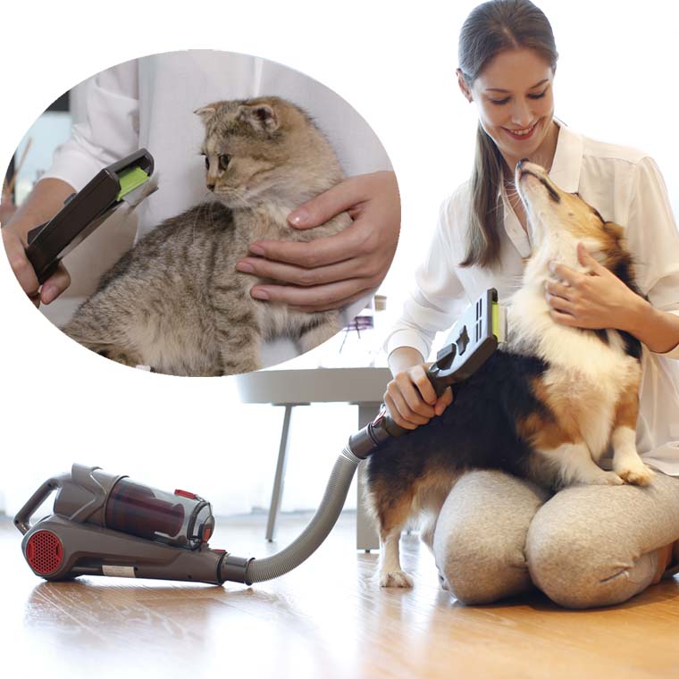 Vacuum grooming pet vacuum
